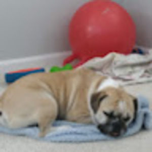 Meet your Posher, Claire